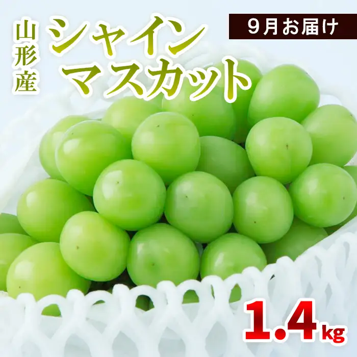 山形産 シャインマスカット 1.4kg(2～4房) 9月お届け 【令和8年産先行予約】FS23-855