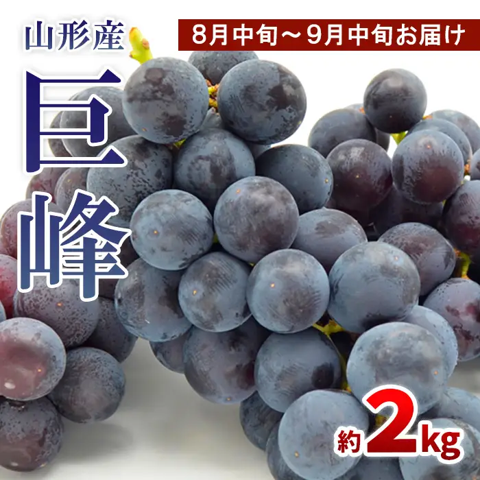 山形のぶどう 巨峰 秀品 約2kg(3～6房)[8月中旬～9月中旬お届け]【令和8年産先行予約】FS24-651 くだもの 果物 フルーツ 山形 山形県 山形市 2026年産