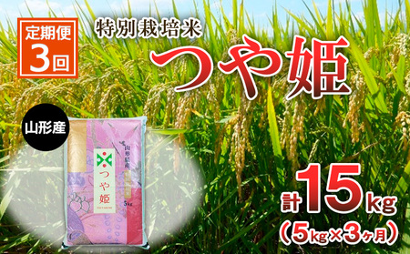 【定期便3回】特別栽培米 つや姫 5kg×3ヶ月(計15kg) FZ23-748