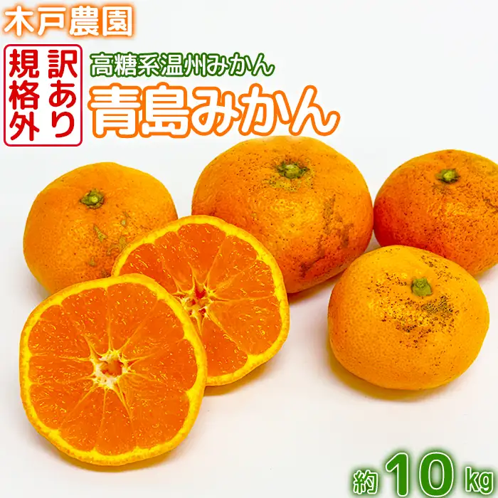 高糖系 温州みかん 青島 (訳あり・規格外) 約10kg【木戸農園】 1月 2月 果物 フルーツ 数量限定 期間限定 九州 大分県 ＜113-014＞