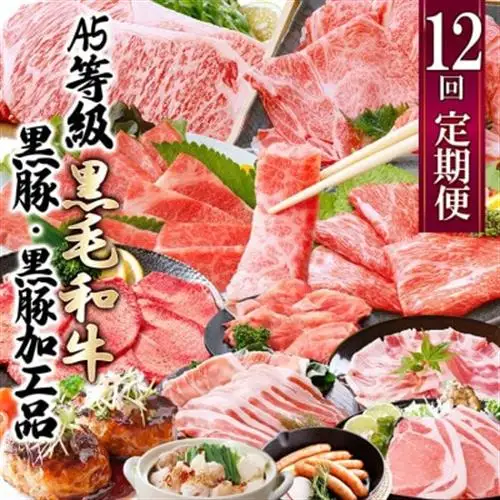 お肉の定期便(12回)枕崎お楽しみ便(A5等級黒毛和牛・黒豚・黒豚加工品etc) KK-6003_ 黒毛和牛 黒豚 ロース ソーセージ スライス サーロイン 赤身 焼肉 ハンバーグ 食べ比べ 定期便 肉 セット 鹿児島 枕崎 産直 _【配送不可地域：離島】【1166746】