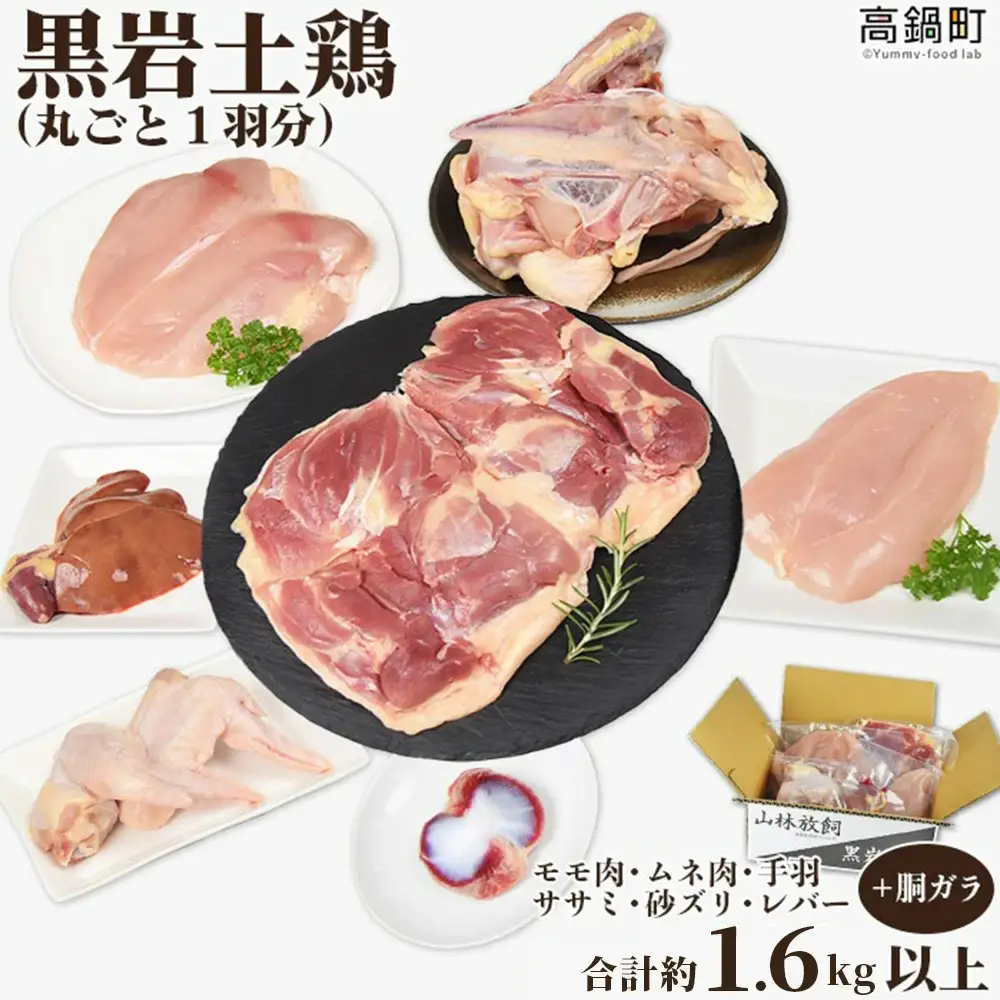【あのテレビ番組で紹介されました！】＜ 黒岩土鶏 (丸ごと一羽分)合計1,600g以上＞ 鶏肉 国産 肉 もも むね 手羽 ササミ レバー