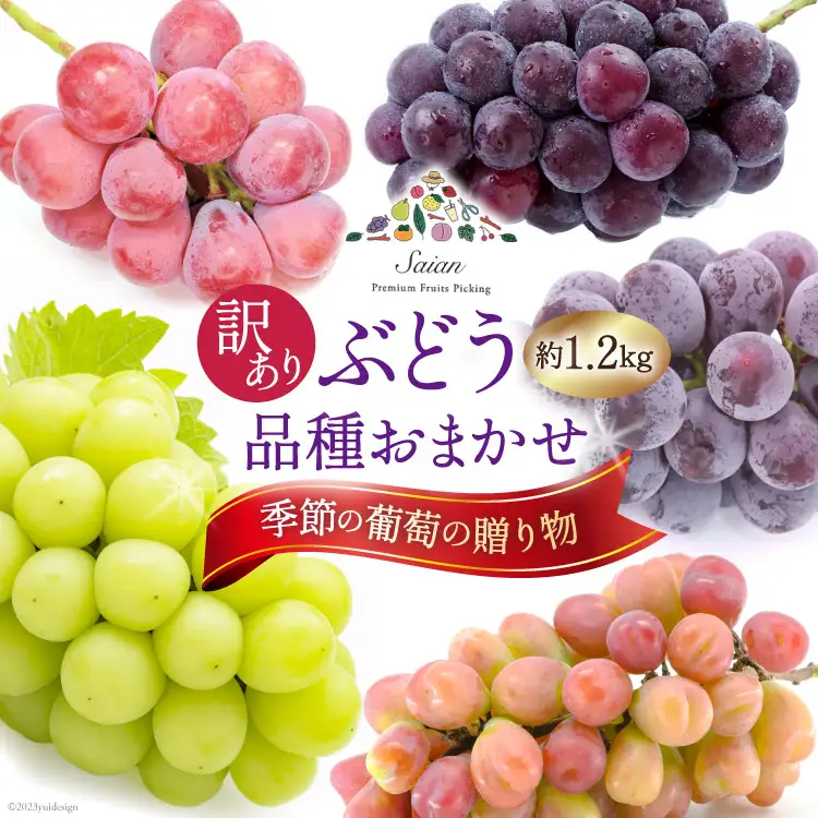 【2026年発送】ぶどう 訳あり 約 1.2kg 食べ比べ 山梨 やまなし ブドウ 季節 葡萄 贈り物 品種 おまかせ フルーツ 果物 くだもの 山梨県産 期間限定 季節限定 冷蔵