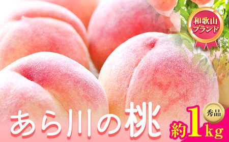 【先行予約】 あら川の桃 約1kg 秀品 前商店