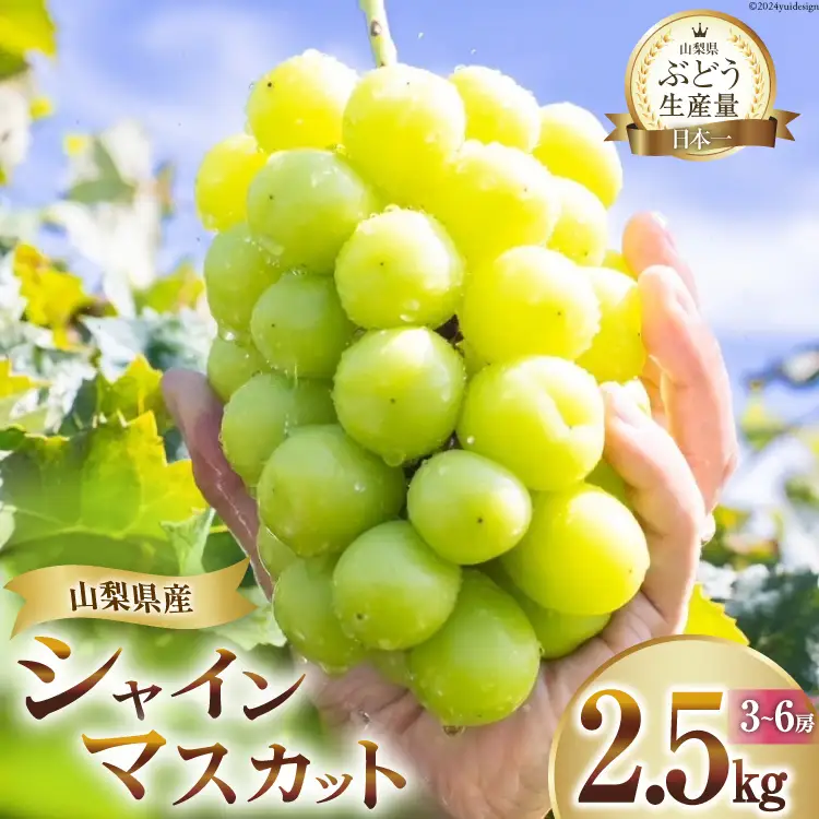 【2026年発送】 シャインマスカット 予約 葡萄 種無し 2.5kg  3～ 6房