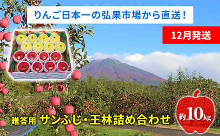 りんご詰合せ サンふじ王林 青森県産 贈答用 りんご詰合せ【約10kg】【12月発送】