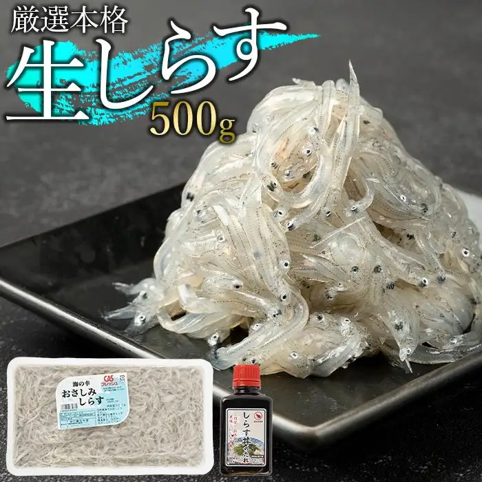 訳アリ　厳選生しらす　500g　おさしみしらす AR007