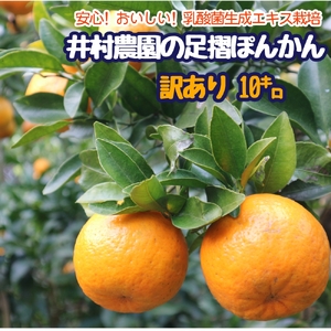 令和9年1月発送予定 訳あり 家庭用 足摺ぽんかん 10kg デコポンの親 ぽんかん みかん 柑橘 果物 果実 ミカン ポンカン フルーツ おやつ デザート 10キロ 美味しい 井村農園【R01495】