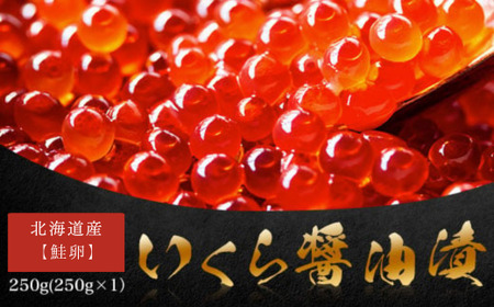 北海道産【鮭卵】 いくら醤油漬 250g(250g×1）【 ふるさと納税 人気 おすすめ ランキング イクラ 醤油漬け いくら醤油漬 イクラ醤油漬 いくら醤油漬け イクラ醤油漬け 鮭いくら 鮭イクラ 鮭 鮭卵 いくら 醤油鮭いくら 醤油鮭イクラ さけ サケ 鮭 醤油漬 250g 海鮮 新鮮 小分け 北海道 網走市 送料無料 】 ABW102