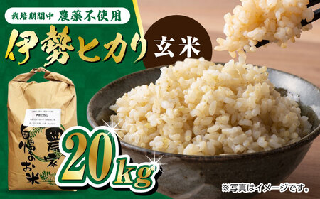 栽培期間中農薬不使用 令和7年産 伊勢ヒカリ玄米 20kg /鶴ノ原北川農園 [UDL008] 玄米