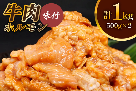 牛肉 ホルモン 焼肉 500g×2個 計1kg [0720]