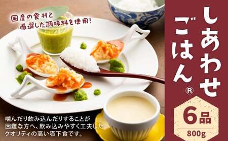 しあわせごはんR 嚥下食 セット 6種 800g