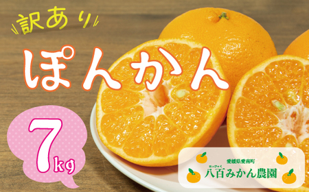 【 訳あり 】 7kg 先行予約 （発送期間：1月中旬?無くなり次第終了） 八百みかん農園 の 7000円 家庭用 7kg 先行 事前 予約 受付 不知火 はるみ 防腐剤 不使用 愛媛 産地直送 国産 農家直送 糖度 甘味 果樹園 期間限定 数量限定 特産品 ジュース 人気 限定 愛南 新鮮 果実 さわやか 風味 甘い フルーツ 果物 柑橘 蜜柑