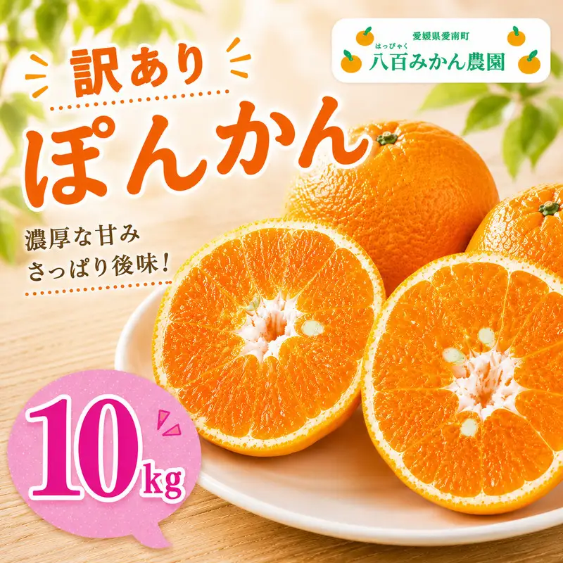 【先行予約】訳あり ぽんかん 10kg (発送期間：2027年1月下旬～無くなり次第終了) 八百みかん農園 愛媛県 愛南町