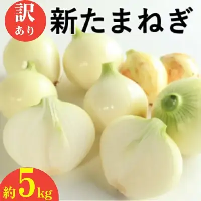 新玉ねぎ 訳あり 5kg  新玉ねぎ シルクオニオン 新玉ねぎ 玉ねぎ愛媛県 愛南町青果市場