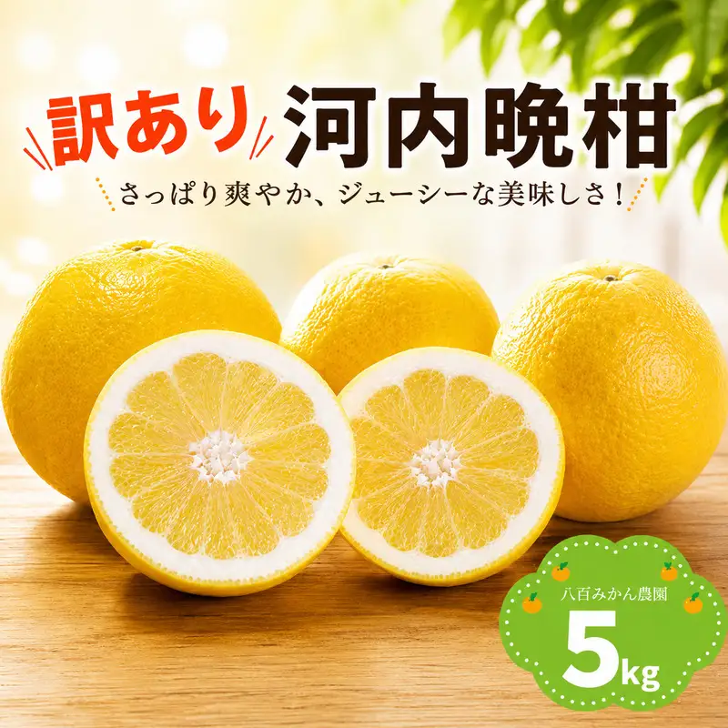 【先行予約】訳あり 河内晩柑 5kg  (発送期間：2027年4月上旬～無くなり次第終了) 八百みかん農園 愛媛県 愛南町
