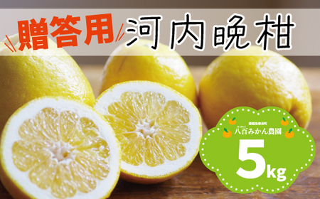 【 贈答用 】 河内晩柑 5kg 先行予約 （発送期間：4月上旬?無くなり次第終了） 八百みかん農園 の かわちばんかん 9000円 家庭用 5kg 先行 事前 予約 受付 ギフト みかん 愛南ゴールド 美生柑 文旦 グレープフルーツ 和製 防腐剤不使用 愛媛 産地直送 国産 農家直送 糖度 果樹園 期間限定 数量限定 特産品 ジュース 人気 限定 愛南 さわやか 甘い フルーツ 果物 柑橘 蜜柑