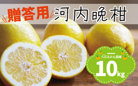 【 贈答用 】 河内晩柑 10kg 先行予約 （発送期間：4月上旬?無くなり次第終了） 八百みかん農園 の かわちばんかん 15000円 家庭用 先行 事前 予約 受付 みかん 愛南ゴールド 美生柑 文旦 グレープフルーツ 和製 防腐剤不使用 ギフト 愛媛 産地直送 国産 農家直送 糖度 果樹園 期間限定 数量限定 特産品 ジュース 人気 限定 愛南 さわやか 甘い フルーツ 果物 柑橘