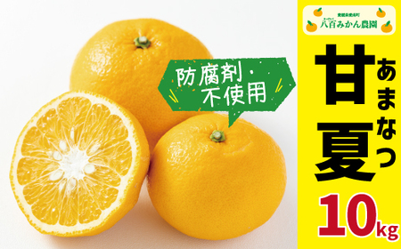 【 先行予約 】 完熟 甘夏 10kg （発送期間：4月下旬?無くなり次第終了） 八百みかん農園 の 完熟 甘夏 10000円 家庭用 訳あり 贈答 先行 事前 予約 受付 ギフト みかん あまなつ 夏みかん グレープフルーツ 防腐剤不使用 愛媛 産地直送 国産 農家直送 糖度 果樹園 期間限定 数量限定 特産品 ジュース 人気 限定 愛南 さわやか 甘い フルーツ 果物 柑橘 蜜柑