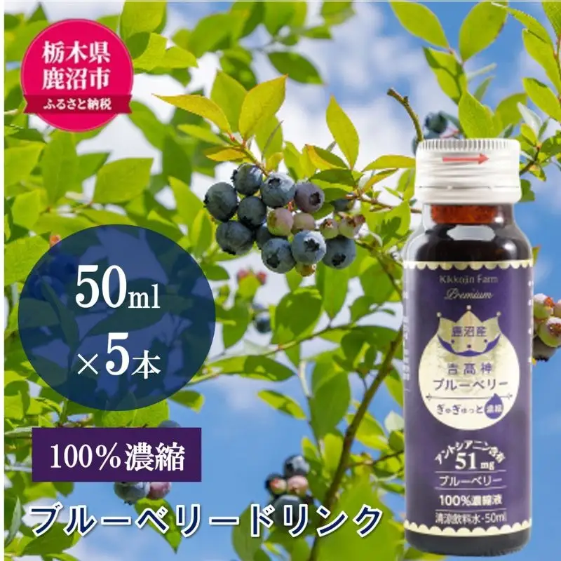 無添加 砂糖不使用 のぎゅぎゅっと 100％ 濃縮 ブルーベリードリンク 1箱 （50ml×5本） 果汁飲料 野菜飲料 ブルーベリージュース 美味しい 濃縮し 高糖度 添加物 安全 安心 アントシアニン 手軽 飲み物 