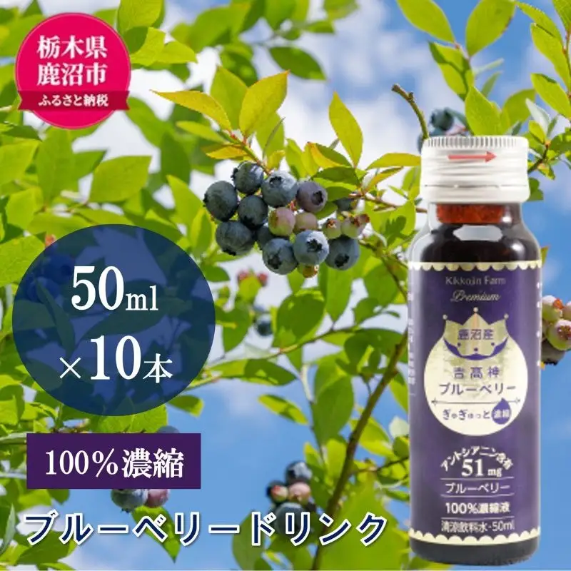 無添加 砂糖不使用 のぎゅぎゅっと 100％ 濃縮 ブルーベリードリンク 2箱 （50ml×10本） 果汁飲料 野菜飲料 ブルーベリージュース 美味しい 濃縮し 高糖度 添加物 安全 安心 アントシアニン 手軽 飲み物 
