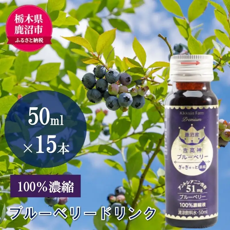 無添加 砂糖不使用 のぎゅぎゅっと 100％ 濃縮 ブルーベリードリンク 3箱 （50ml×15本） 果汁飲料 野菜飲料 ブルーベリージュース 美味しい 濃縮し 高糖度 添加物 安全 安心 アントシアニン 手軽 飲み物 