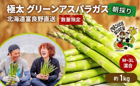 【数量限定・2027年4月～発送】富良野 益田農園産 極太 グリーンアスパラガス ≪M～3L混合≫ 約1kg アスパラ 北海道 富良野市 緑アスパラ 野菜 とれたて 朝採り 限定 数量限定 (益田農園)
