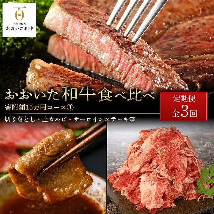 ＜定期便 全3回＞おおいた和牛 食べ比べ 【総計4.6kg！】寄附額15万円コース（１）（切り落とし・上カルビ・サーロインステーキ等）