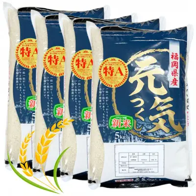 ＜令和7年産＞福岡県産ブランド米「元気つくし」白米 20kg(5kg×4袋) 【米 ブランド米 ブランド 白米 元気つくし 20kg 20キロ 福岡県産 グルメ 福岡県 筑前町 CE002】【価格改定】