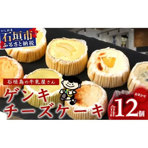 ゲンキチーズケーキ 12個 プレーン MIX バラエティ セット OP-8