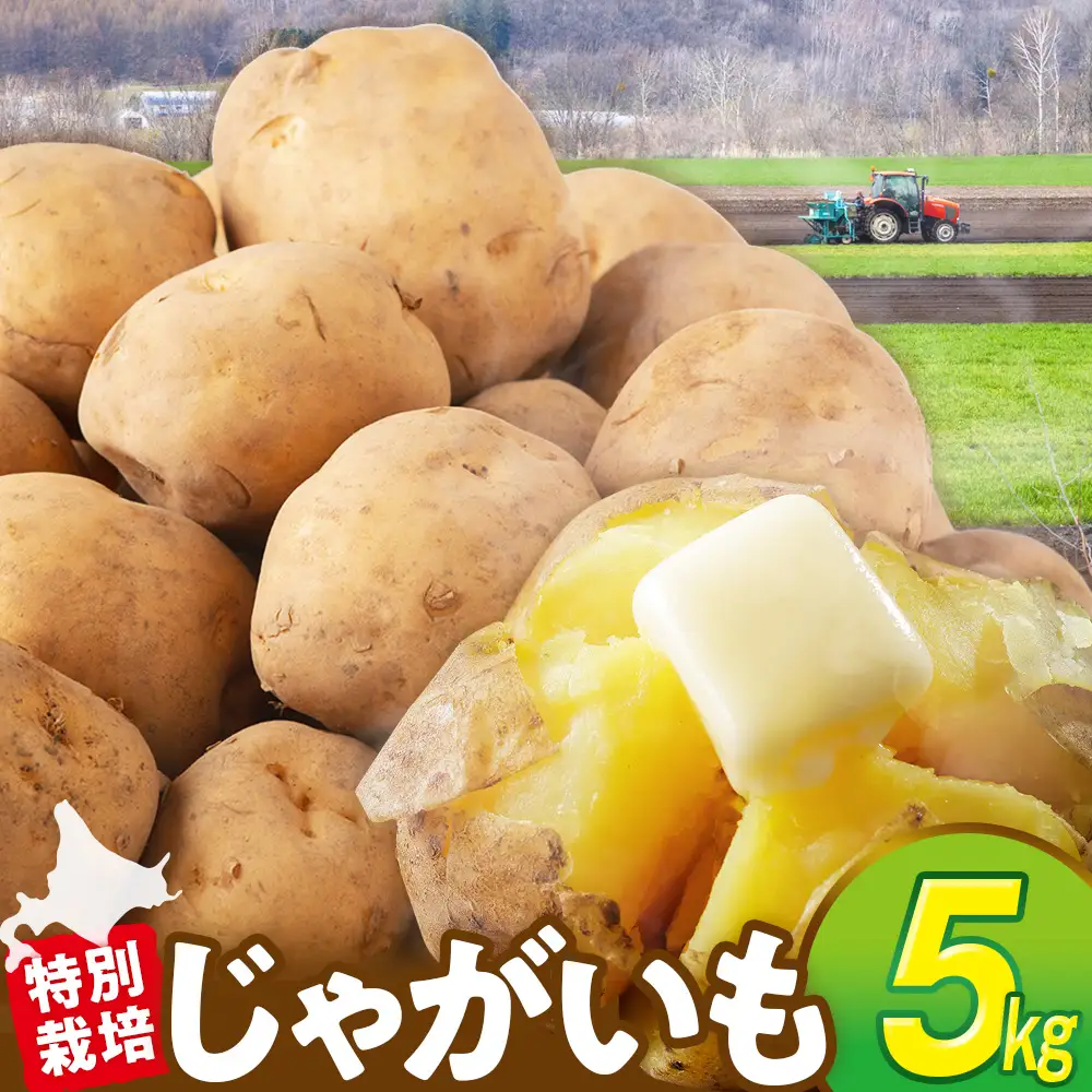R8年産先行受付 じゃがいも 5kg 特別栽培（男爵） | ジャガイモ 芋 男爵 馬鈴薯 大容量 新鮮 野菜 煮物 カレー シチュー ポテト 保存 特産 産地直送 北海道 津別町 送料無料