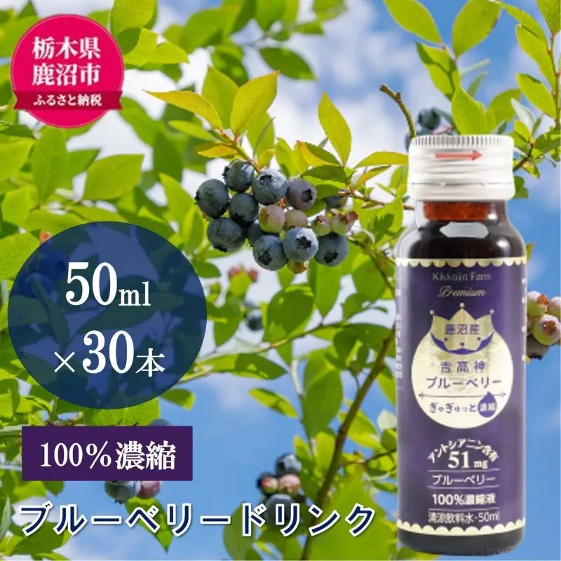 無添加 砂糖不使用 のぎゅぎゅっと 100％ 濃縮 ブルーベリードリンク 6箱 （50ml×30本） 果汁飲料 野菜飲料 ブルーベリージュース 美味しい 濃縮し 高糖度 添加物 安全 安心 アントシアニン 手軽 飲み物 