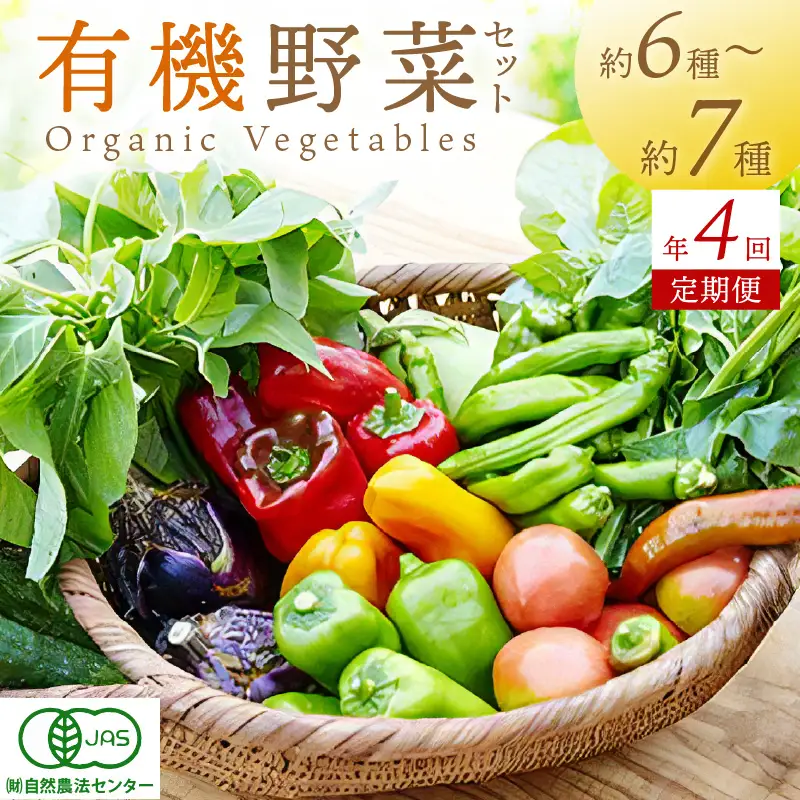 【4回定期便】＜てんとうむしばたけ＞オーガニック野菜セット　有機野菜6～7種(2人用) 京都直送 野菜 詰め合わせ 野菜セット 国産 京都産 ふるさと納税 野菜