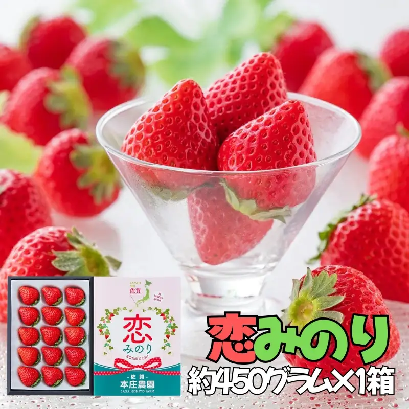 【贈答品】 特別栽培 イチゴ 恋みのり 化粧箱 （450g）×1箱 12月下旬～4月発送 苺 いちご フルーツ 果物 贈答 ギフト プレゼト 佐賀県 佐賀市：B145-030