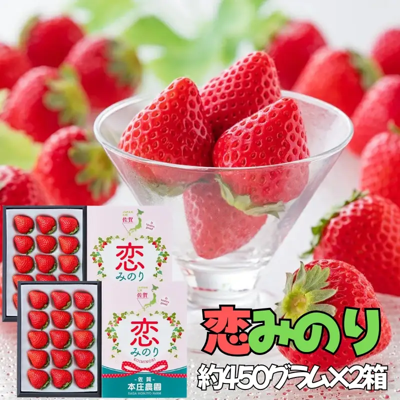 【贈答品】 特別栽培 イチゴ 恋みのり 化粧箱 （450g）×2箱 12月下旬～4月発送 苺 いちご フルーツ 果物 贈答 ギフト プレゼント 佐賀県 佐賀市：B245-009