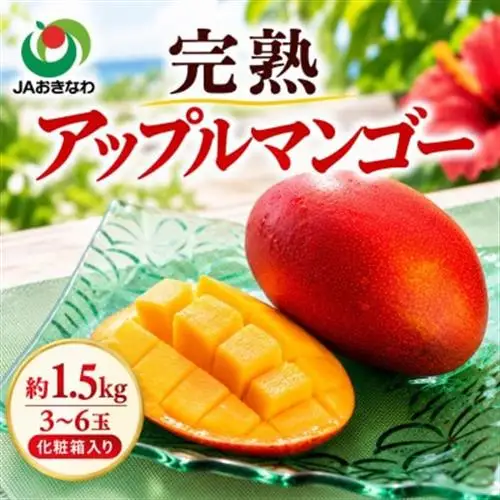 【2027年6月下旬から順次発送・贈答用】JAおきなわ厳選 完熟アップルマンゴー1.5kg【配送不可地域：離島】【1466101】