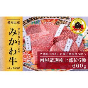 【みかわ牛】肉屋厳選極上部位6種　660ｇ