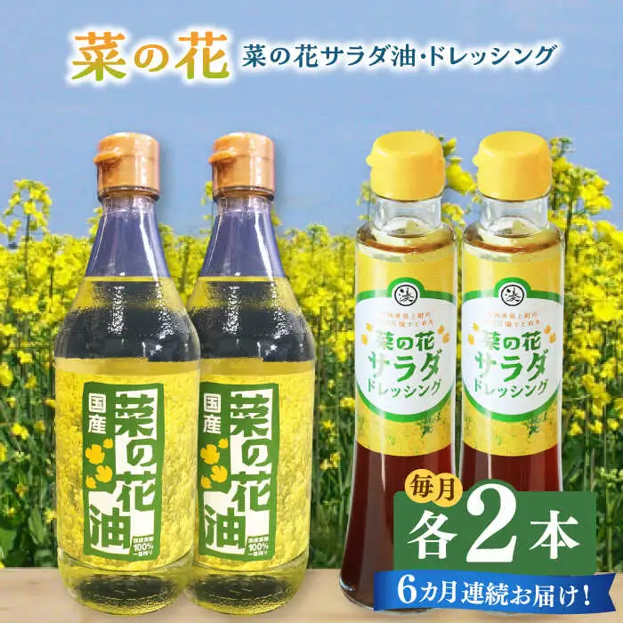 菜の花油 【全6回定期便】 菜の花 2本 [ABAQ050] 菜の花油