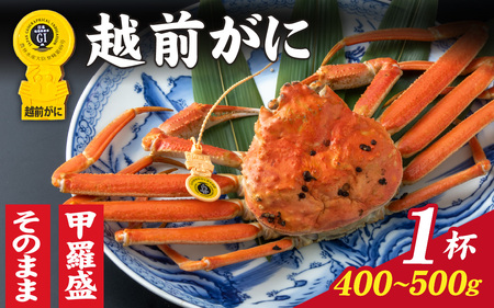【先行予約】選べる！ 越前かに（400g～500g）×1杯 【11月～3月発送】[D-028042] ｽﾞﾜｲｶﾞﾆｽﾞﾜｲｶﾞﾆｽﾞﾜｲｶﾞﾆ