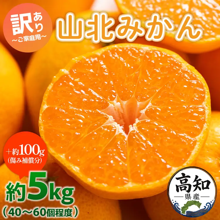 訳あり 山北みかん 5kg みかん yk-0076