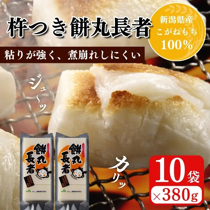 餅丸長者 切り餅 コガネモチ 380g×10袋 切り餅