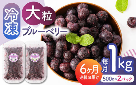 【6回定期便】大粒 冷凍ブルーベリー 約1000g（約500g×2pc）【すみれファーム】果物 フルーツ くだもの 大粒 小分け 熊本県産ブルーベリー [ZEP011]
