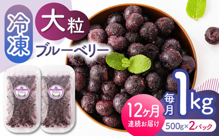 【12回定期便】大粒 冷凍ブルーベリー 約1000g（約500g×2pc）【すみれファーム】果物 フルーツ くだもの 大粒 小分け 熊本県産ブルーベリー [ZEP012]