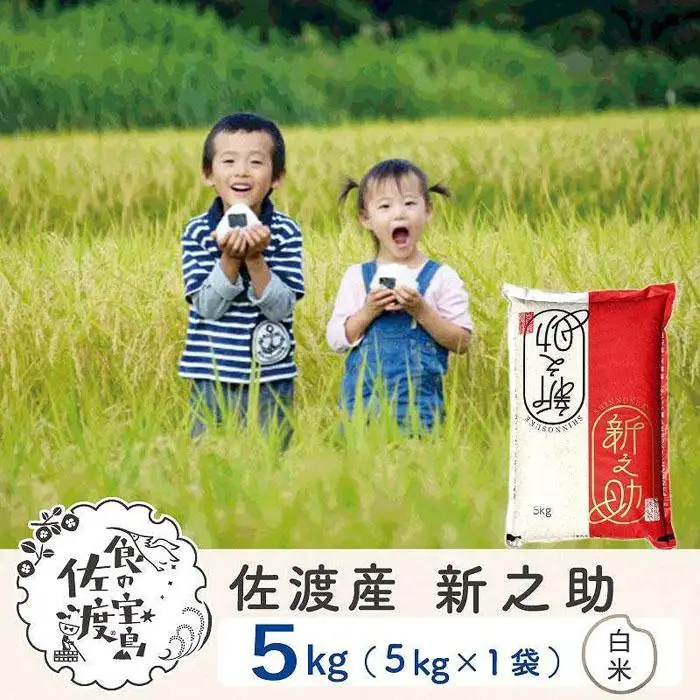 米 白米 5kg | 新潟県 佐渡市 新之助