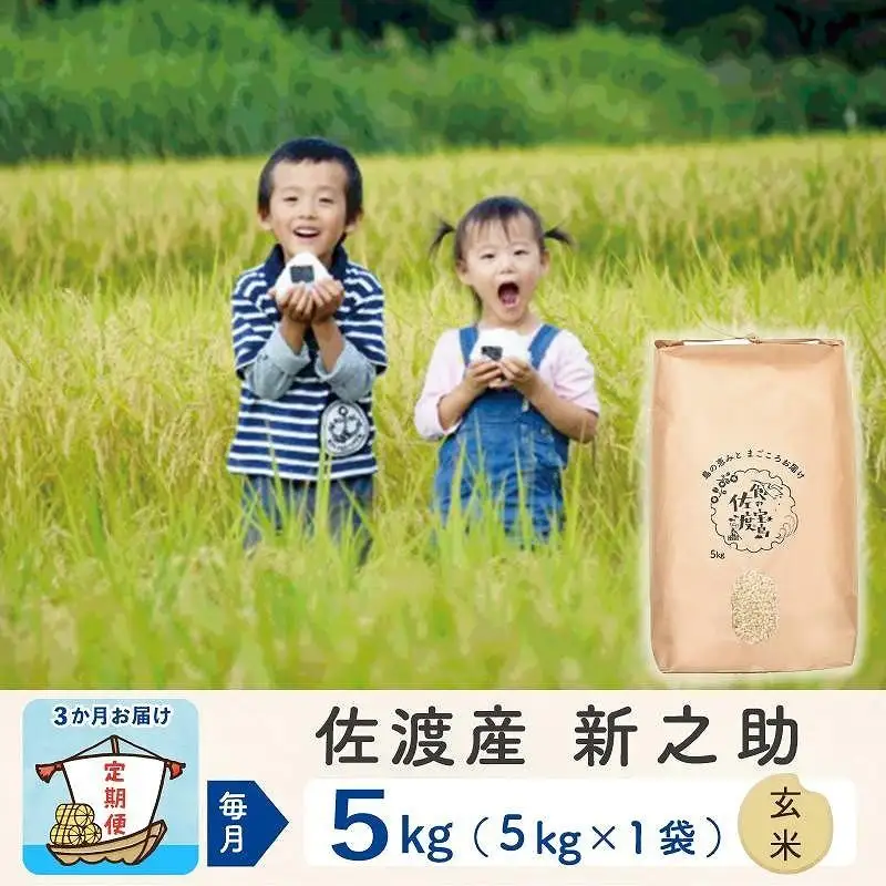 【令和8年産新米 3ヶ月】佐渡島産 新之助 玄米 5kg