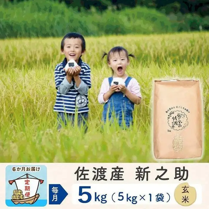 【令和8年産新米 6ヶ月】佐渡島産 新之助 玄米 5kg