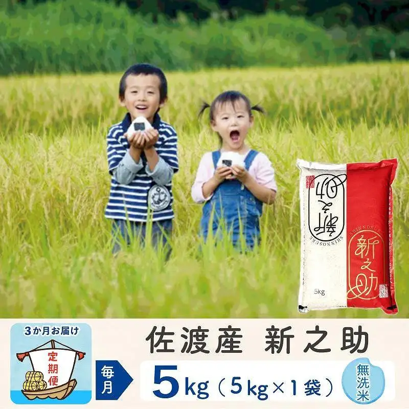 【令和8年産新米 3ヶ月】佐渡島産 新之助 無洗米 5kg