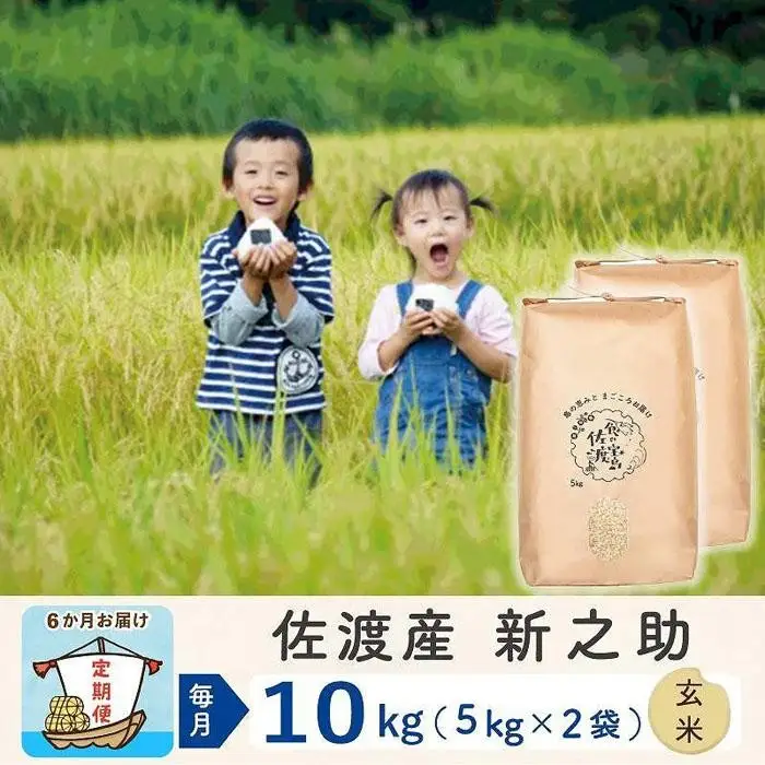 【令和8年産新米 6ヶ月】佐渡島産 新之助 玄米 10kg
