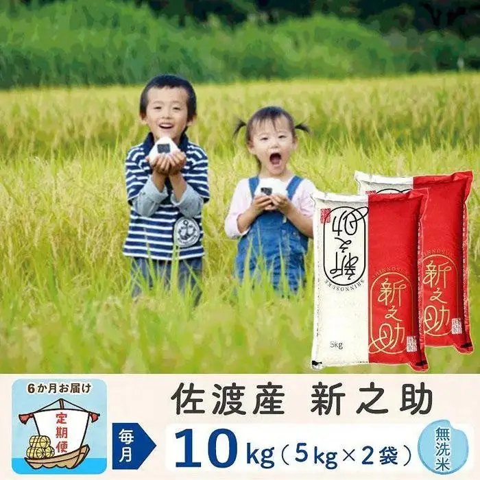 【令和8年産新米 6ヶ月】佐渡島産 新之助 無洗米 10kg