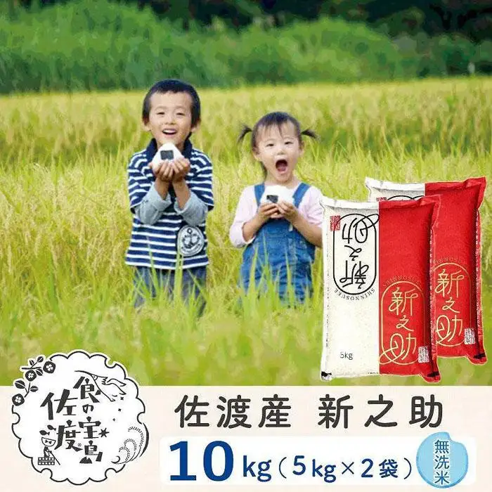 佐渡島産 新之助 無洗米10kg（5kg×2袋）令和7年産